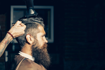 Bearded man getting hair styling by hairdresser at barbershop