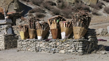 Braided pannier full with firewood put down by local women while having a rest. Scene near Manang,...