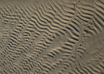 Texture patterns on the river sand in the evening