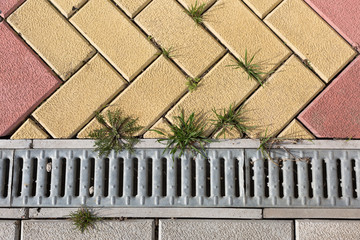 Brick floor with plant Grass, background and texture
