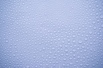 water drops an white background