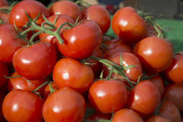 Red Tomato Background