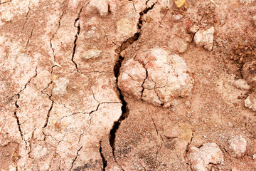 arid land, drought