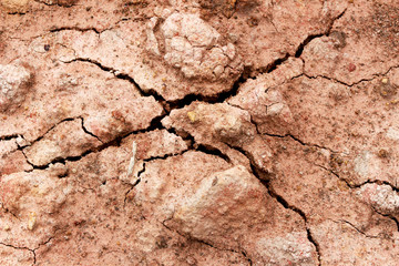 arid land, drought