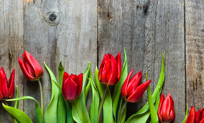 Red tulips, background with spring flowers, mothers day card