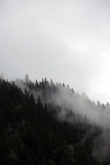 foggy clouds rising from dark alpine mountain forest - 141859694
