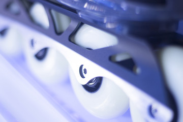 Freestyle inline skates in store