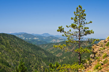 Obraz premium Landscape of Divcibare mountain at sunny summer morning, west Serbia