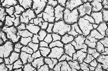arid ground texture