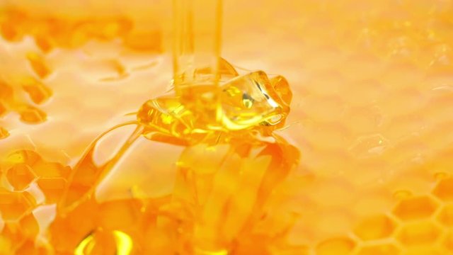 Close-up of honey dripping.
