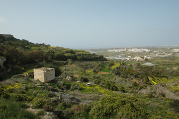 Punic necropolis and tombs