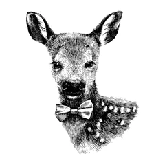 Poster Baby deer hipster © Marina Gorskaya