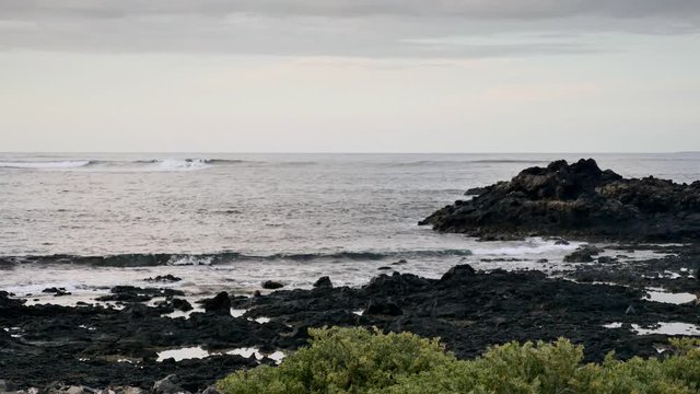 Tenerife cvu de fuert&eacute;ventura