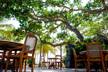 Obraz premium ホテルのレストラン