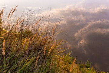 Beautiful sunset over the river.  Beach with grass, plants and sedge in the sunlight. Reflection of clouds in water