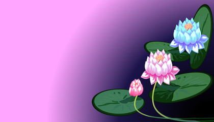 Naklejka premium the Lotus flower ,banner ,label . Vector illustration.