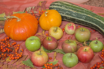 Autumn still life with pumpkins and apples
