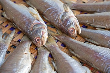 Dried Threadfins fish on basket.