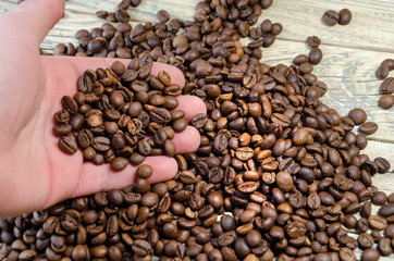 Coffee beans in hand. on light wood background