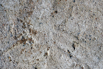 Rough concrete surface texture.