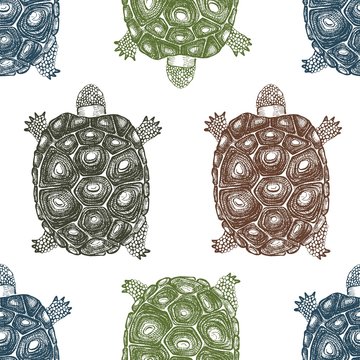Seamless pattern with hand drawn turtles