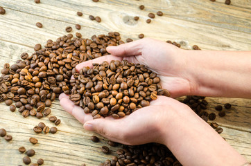 Coffee beans in hand. on light wood background