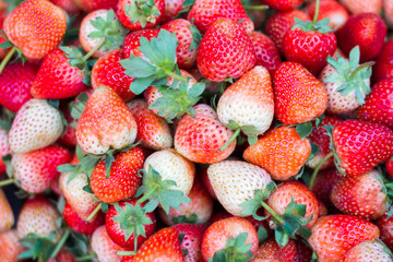 Strawberry fruit background