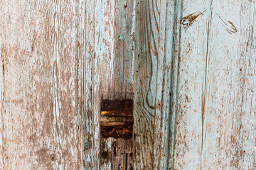 Vintage Paint Door