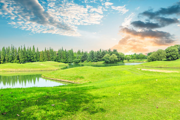 Green grass and sky in the summer