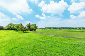 Green grass and sky in the summer