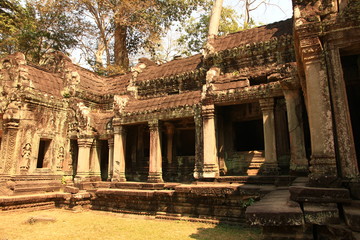 Fototapeta premium Ta Prohm Temple, Cambodia