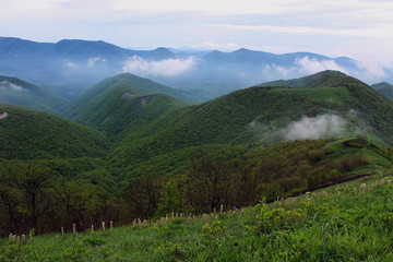 Fototapeta premium Mountain's top in clouds near Gelendzhik, Russia