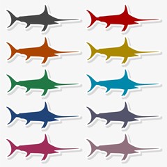 Sailfish saltwater fish - Illustration
