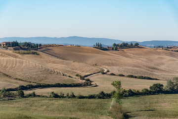Fototapeta na wymiar panorama of the Chianti hills in the summer in the province of siena