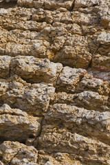 colorful texture of sea stone