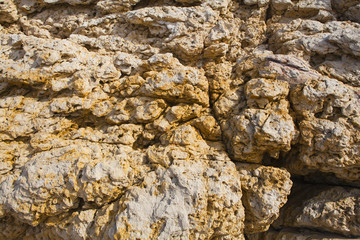 colorful texture of sea stone