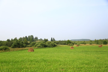 Стога сена в поле на фоне голубого неба 