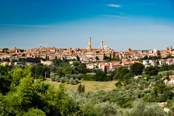 Fototapeta na wymiar panorama of the Chianti hills in the summer in the province of siena