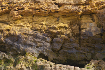 colorful texture of sea stone
