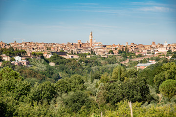 Fototapeta premium panorama of the Chianti hills in the summer in the province of siena