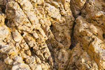 colorful texture of sea stone