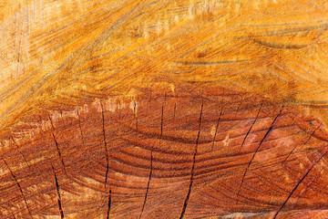 Wood  texture background.