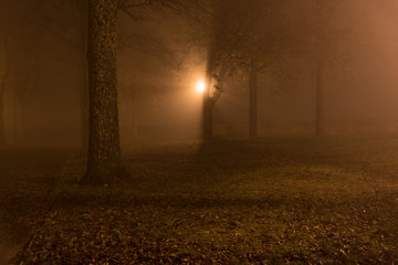 Fototapeta na wymiar autumn park with fog and trees