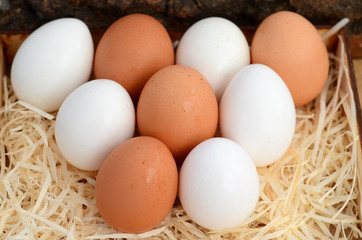 Nine chicken eggs in carton. Eggs for Easter. 