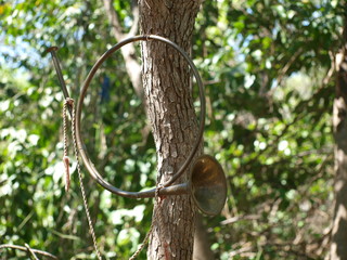 Tin Horn in Tree