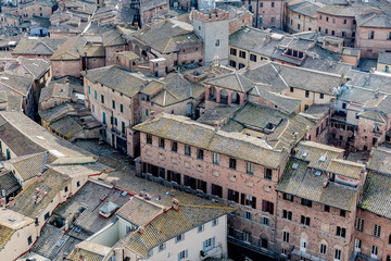 beautiful view on the city of Siena in Tuscany