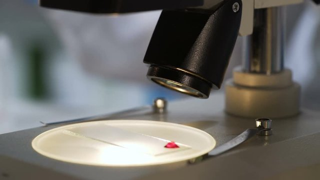 Forensic expert preparing blood sample to study under microscope, science