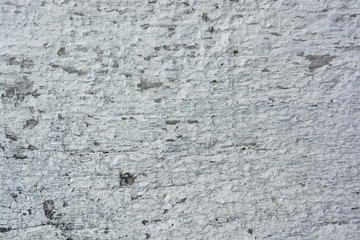 Close up of old bark