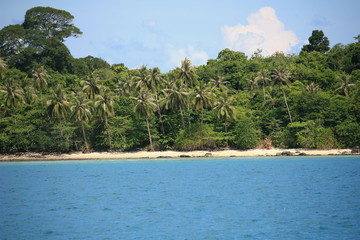 traumhafte insel mit Palmen und sch&ouml;ner umgebung