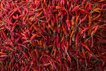 Fototapeta premium red dry chilli